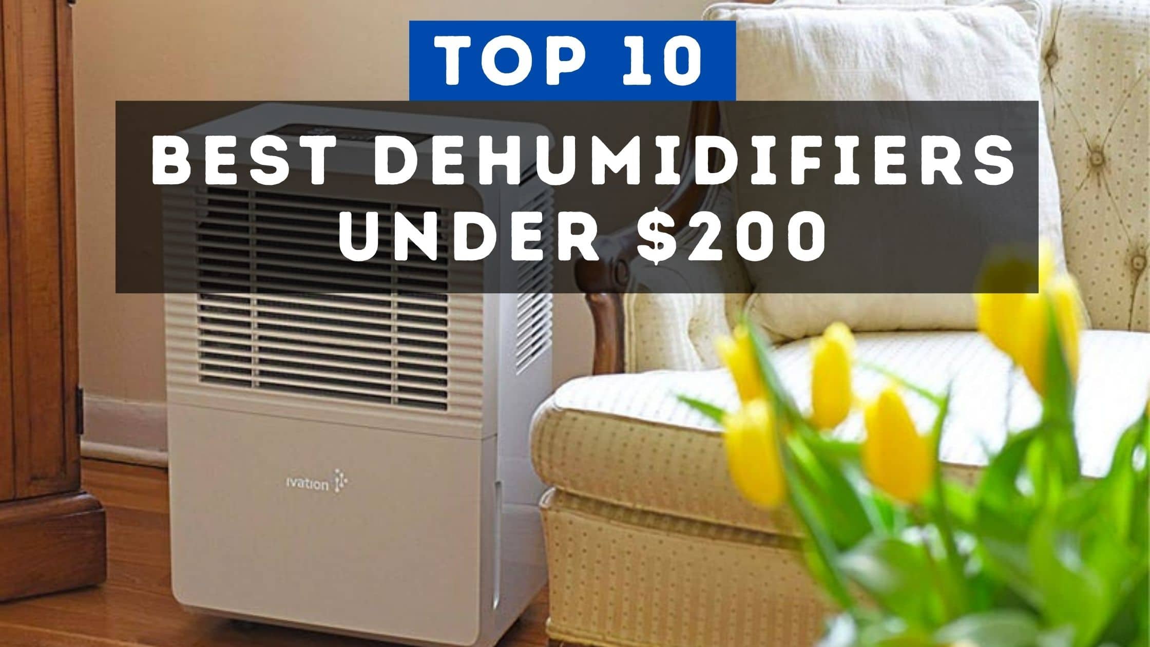 10 Best Dehumidifiers Under $200