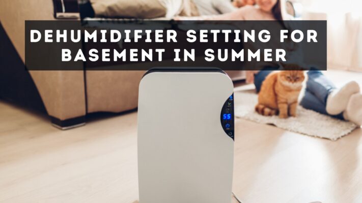 Dehumidifier Setting for Basement in Summer