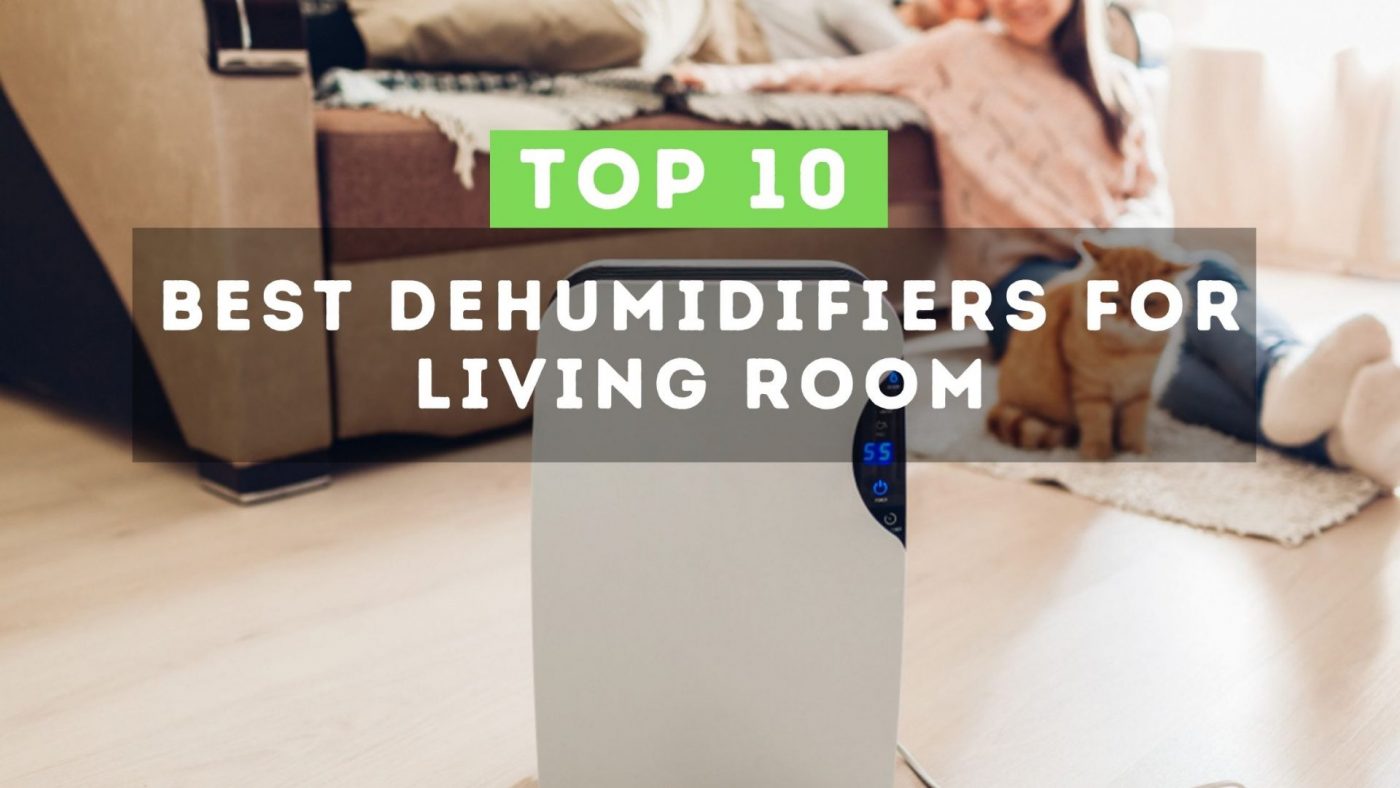 Best dehumidifier for living room