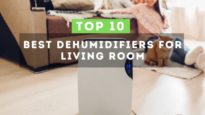 Best dehumidifier for living room