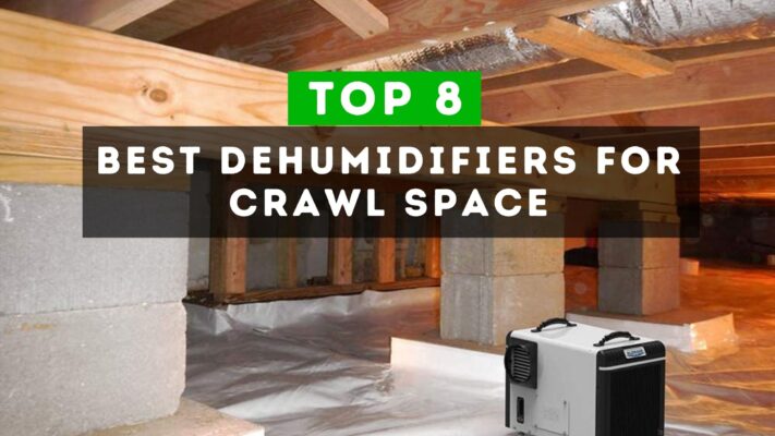 Best Dehumidifiers For Crawl Space