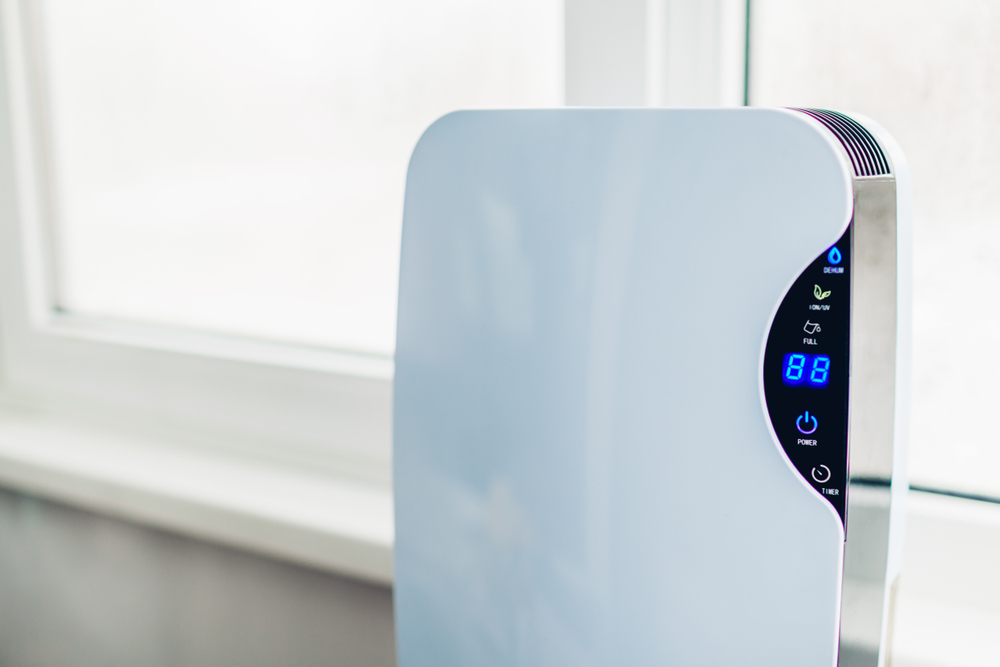 How to Choose the Perfect Size Dehumidifier? Buying Guide