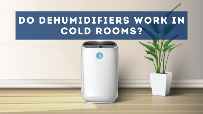 Dehumidifier in a cold room